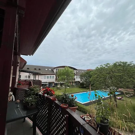 Dorina בלטונללה